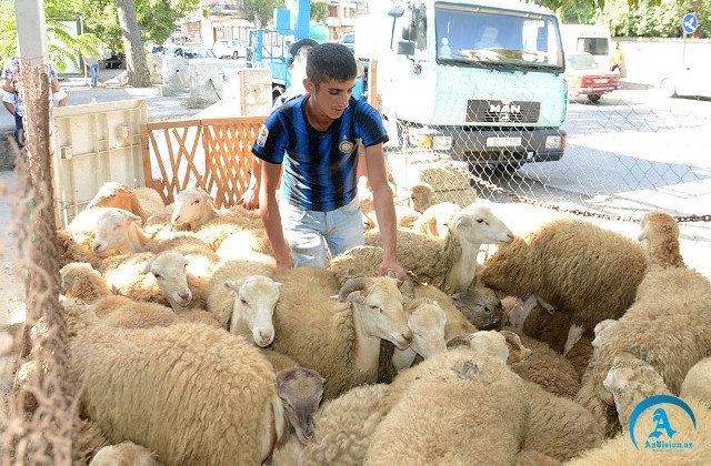 Azərbaycanda 150 manatlıq cərimə 2 minə qalxır